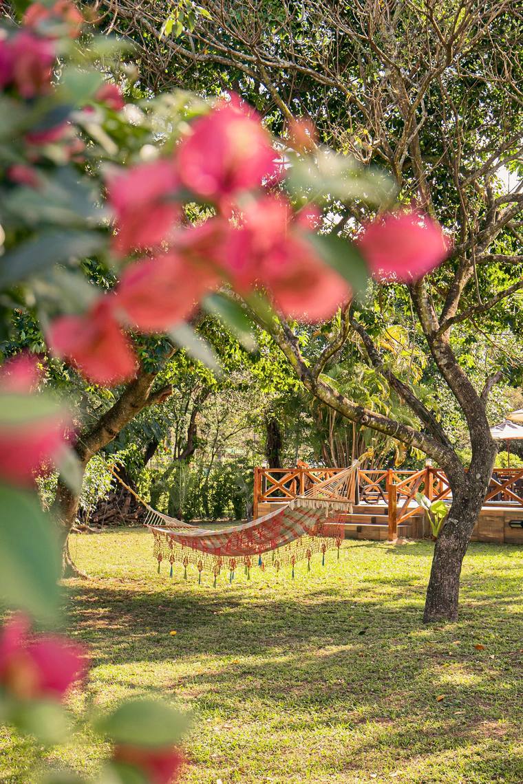 Hamaca paraguaya vista entre las flores de Santa Rita
